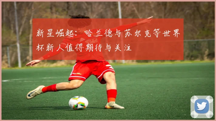 新星崛起：哈兰德与苏尔克等世界杯新人值得期待与关注