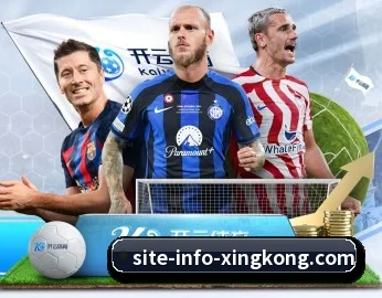 赛事数据与深度分析 - xingkong.com